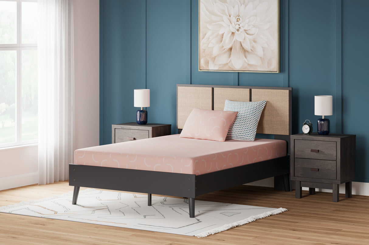 Furniture City Houma - Ashley Furniture - iKidz Coral Mattresses - Twin and Pillow 2/CN / Coral - M43111