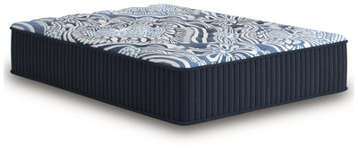 Firm Luxe 2.0 Mattresses