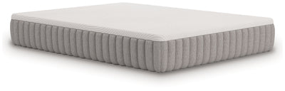 Terra Sleep Medium Mattresses