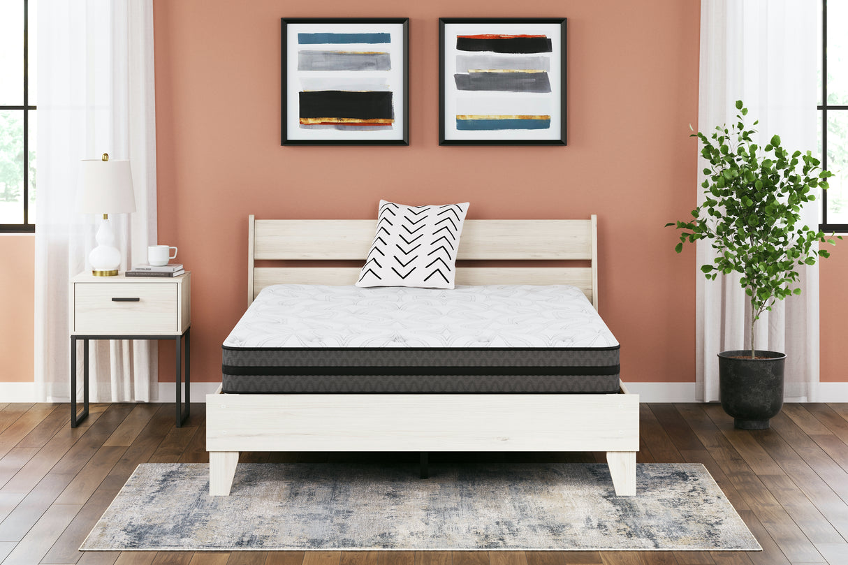 Furniture City Houma - Ashley Furniture - 10 Inch Pocketed Hybrid Mattresses - California King / White - M58951