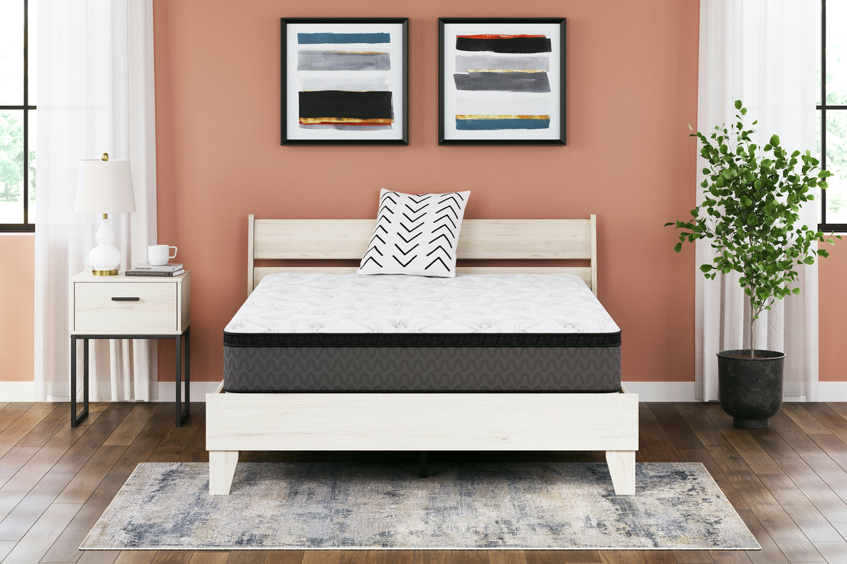 Furniture City Houma - Ashley Furniture - 12 Inch Pocketed Hybrid Mattresses - California King / White - M59051