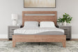 Furniture City Houma - Ashley Furniture - 8 Inch Memory Foam Mattresses - RV King / White - M59143