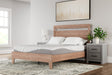 Furniture City Houma - Ashley Furniture - 10 Inch Memory Foam Full Mattress - Full / White - M59221