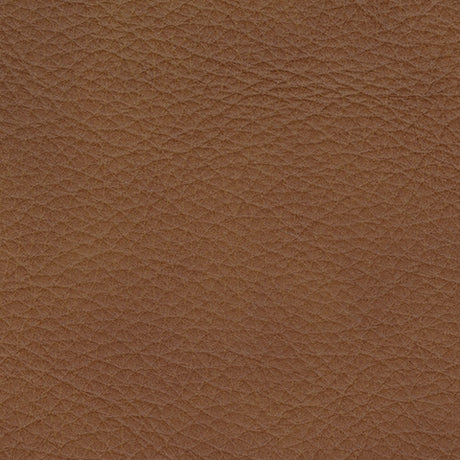 Magic Man 5-Piece Power Reclining Sectional