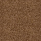 Trasimeno Power Reclining Sofa, Loveseat and Recliner
