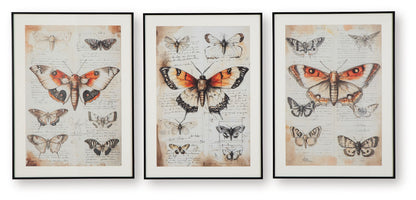 Jossletts - Wall Art Set (Set of 3) - Orange / Black / Ivory